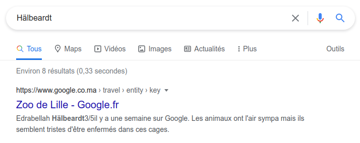 avis_google